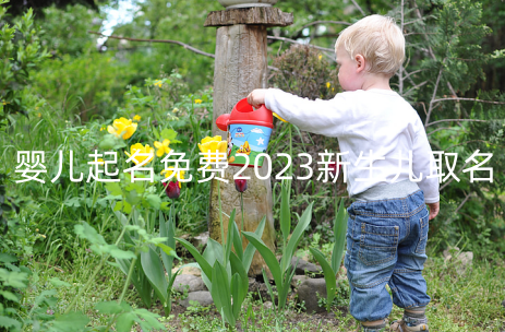 婴儿起名免费2023 新生儿取名大全