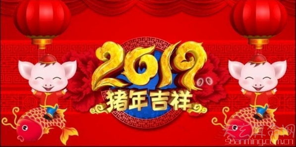 今年是金猪年吗   2019年不是金猪年而是土猪年