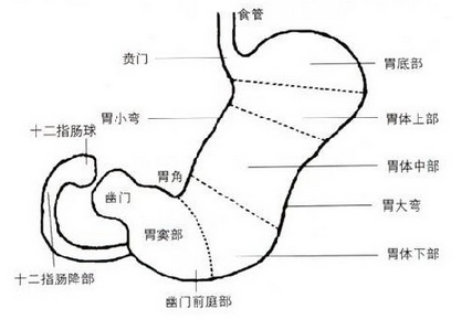 八字测算你的肠胃疾病