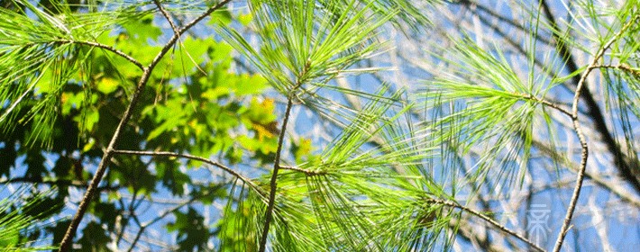 邙山公墓风水